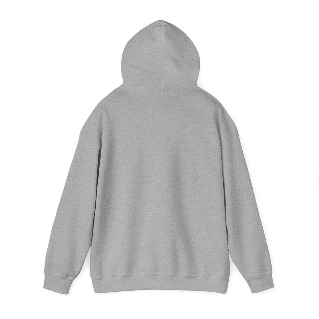 Do It Now hoodie | cozy reading, introvert club